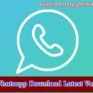 fm whatsapp apk apps download